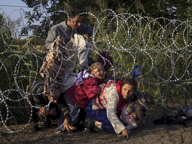 Syrian migrants cross under a fence as they enter Hungary at the border with Serbia, near Roszke, August 27, 2015. (Bernadett Szabo/REUTERS)