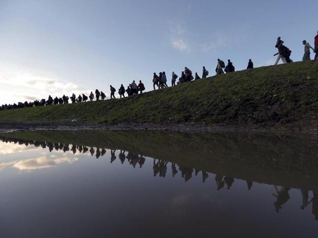 Migrants make their way on foot on the outskirts of Brezice, Slovenia October 20, 2015. (Srdjan Zivulovic/REUTERS)