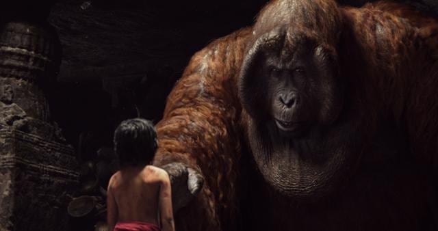 Bhargava has lent his voice to the character of King Louie in the Hindi version of the Jungle Book Bhargava has lent his voice to the character of King Louie in the Hindi version of the Jungle Book