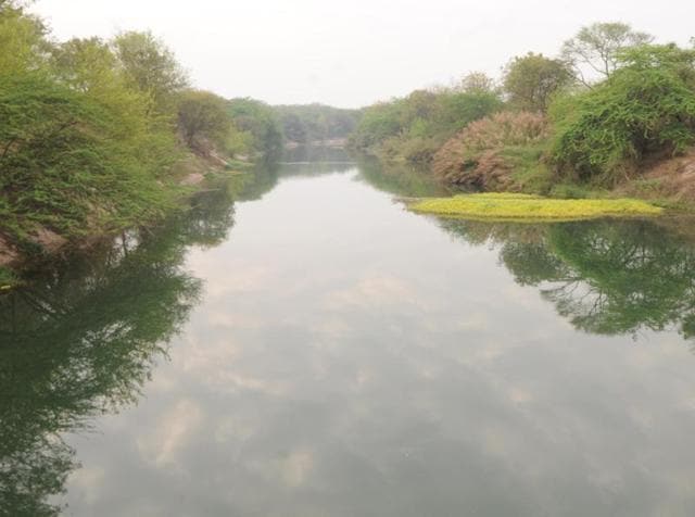 Now filled, the SYL canal earlier where former prime minister late Indra Gandhi laid its foundation stone at Kapuri village near Ghanour Town in Patiala District. (HT file photo) Now filled, the SYL canal earlier where former prime minister late Indra Gandhi laid its foundation stone at Kapuri village near Ghanour Town in Patiala District. (HT file photo)