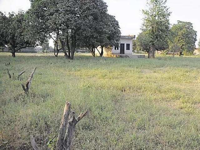 Rural development department officials have leased 30-kanal village common land at Mansurpur Chintanwala village in Nabha block, 25 km from Patiala, for “building a school on it”, even as a private school is already running on the land for the past 30 years. (HT file photo) Rural development department officials have leased 30-kanal village common land at Mansurpur Chintanwala village in Nabha block, 25 km from Patiala, for “building a school on it”, even as a private school is already running on the land for the past 30 years. (HT file photo)