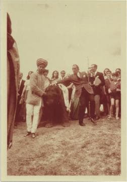 Air India flew the elephant to Geneva from Bangalore and then trucked it to Dali’s house in Spain (Image Source: Gulserene Dastur) Air India flew the elephant to Geneva from Bangalore and then trucked it to Dali’s house in Spain (Image Source: Gulserene Dastur)
