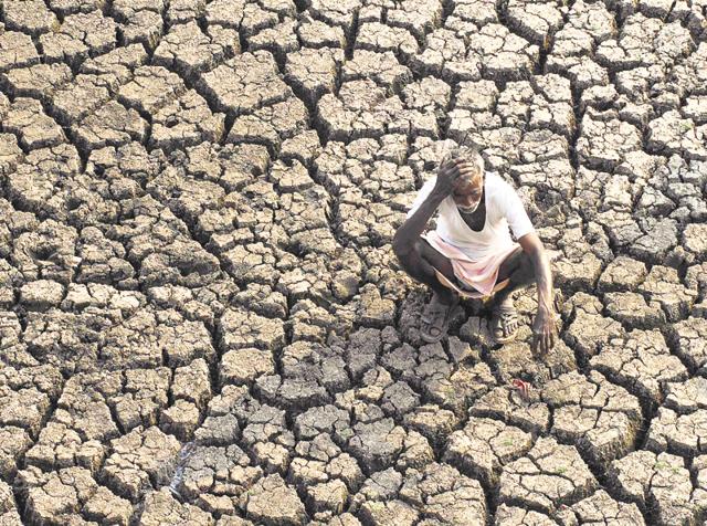 657 farmers have killed themselves in Maharashtra from January to March.(AP)