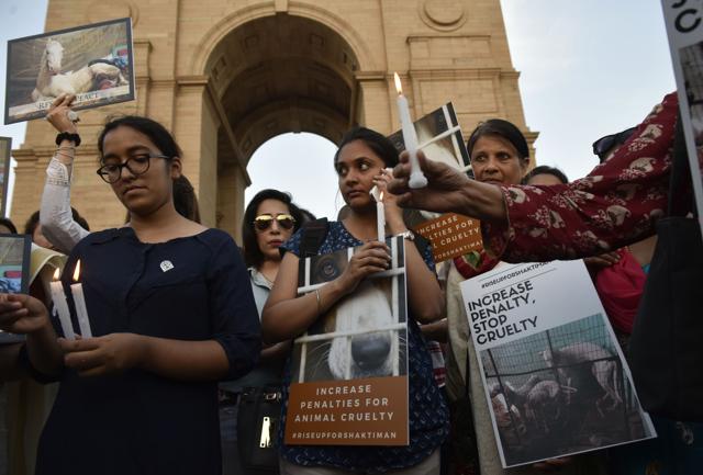 Animal welfare activists at a candle light vigil at New Delhi in honour of Shaktiman , April 21, 2016 (Saumya Khandelwal/HT Photo) Animal welfare activists at a candle light vigil at New Delhi in honour of Shaktiman , April 21, 2016 (Saumya Khandelwal/HT Photo)