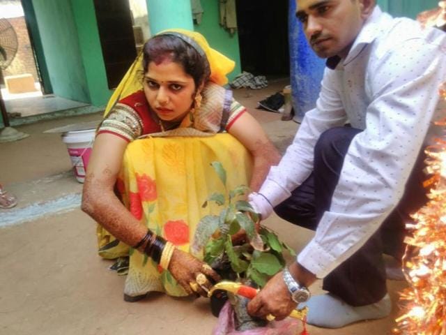 Priyanka Bhadoriya plants a mango sapling with her husband after her wedding on Friday.(HT Photo)