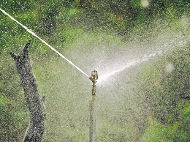 From sprinklers and ice blocks for bears and water coolers at all the enclosures of the zoo — the animals are surely enjoying the summer! (Ravi Kumar/HT Photo)