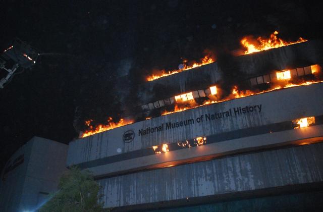 The National Museum of Natural History at the FICCI building is seen engulfed in fire. (Ashok Nigam/HT Photo) The National Museum of Natural History at the FICCI building is seen engulfed in fire. (Ashok Nigam/HT Photo)