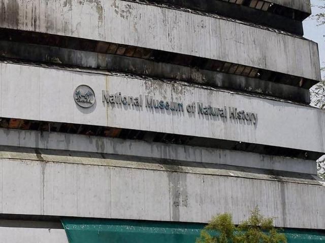 A view of the National Museum of Natural History that was destroyed after a massive fire broke out early on Tuesday in New Delhi.(PTI Photo) A view of the National Museum of Natural History that was destroyed after a massive fire broke out early on Tuesday in New Delhi.(PTI Photo)