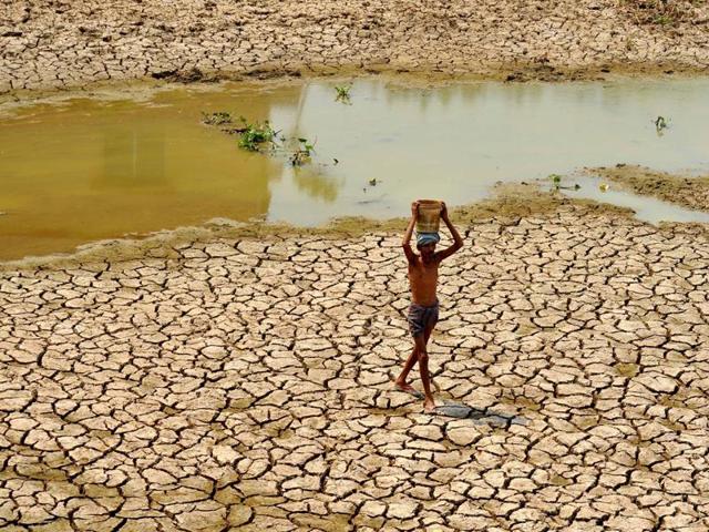 A villager carries a pot of water drawn from a drying lake in Odisha.(Arabinda Mahapatra/ HT photo)