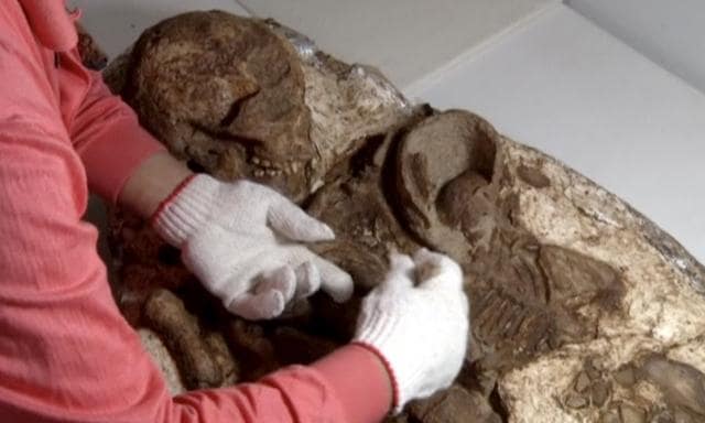 A man cleans a fossil of a mother and baby in Taichung City, Taiwan. (Reuters Photo)