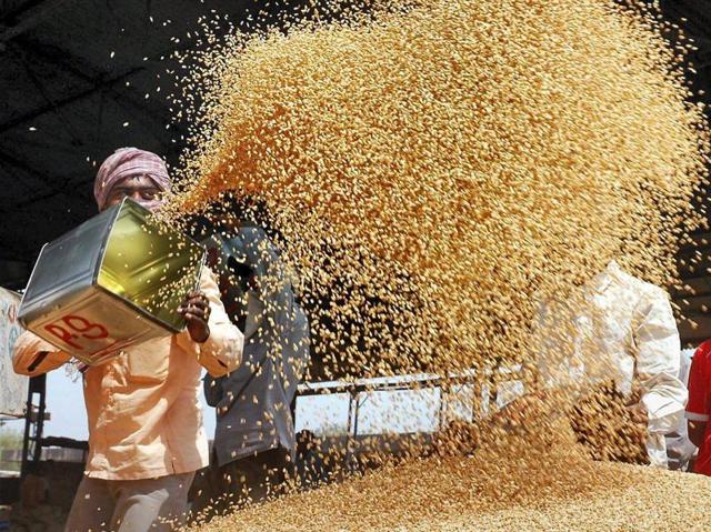 Farmers husk wheat at a market in Amritsar. Banks are worried that loans to Punjab government to procure foodgrain may turn bad.(PTI file photo) Farmers husk wheat at a market in Amritsar. Banks are worried that loans to Punjab government to procure foodgrain may turn bad.(PTI file photo)