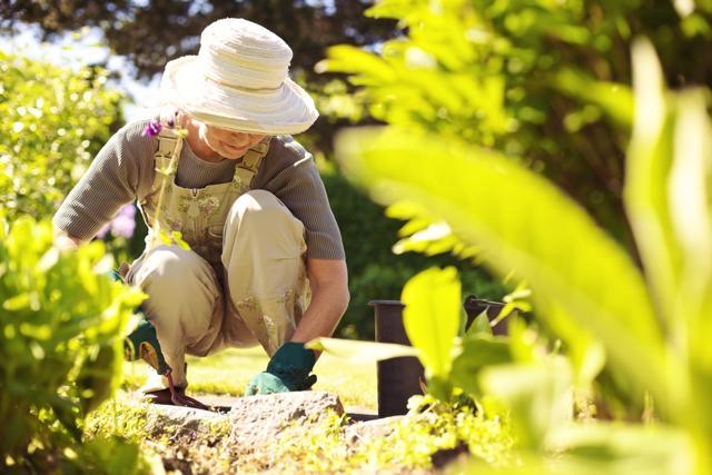 Researchers said that while their deduction may not apply to everybody, they had reasons to believe that work brought people a lot of economic and social benefits that could impact the length of their lives. (Shutterstock) Researchers said that while their deduction may not apply to everybody, they had reasons to believe that work brought people a lot of economic and social benefits that could impact the length of their lives. (Shutterstock)
