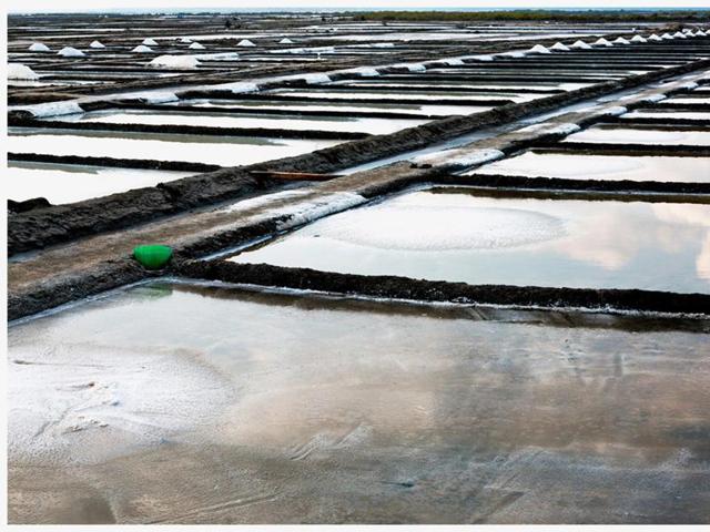 Salt pans:Salt making is also an activity in this area. Here, the skies are mirrored in grids of salty water formed as the furrows rush to meet at the horizon. Little white mounds serve as a reminder of the essential role salt plays in maintaining the body’s equilibrium. (Ravi Agarwal) Salt pans:Salt making is also an activity in this area. Here, the skies are mirrored in grids of salty water formed as the furrows rush to meet at the horizon. Little white mounds serve as a reminder of the essential role salt plays in maintaining the body’s equilibrium. (Ravi Agarwal)