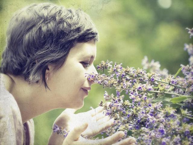 Rosemary aroma significantly enhances prospective memory and alertness, claims a new study. (Shutterstock) Rosemary aroma significantly enhances prospective memory and alertness, claims a new study. (Shutterstock)