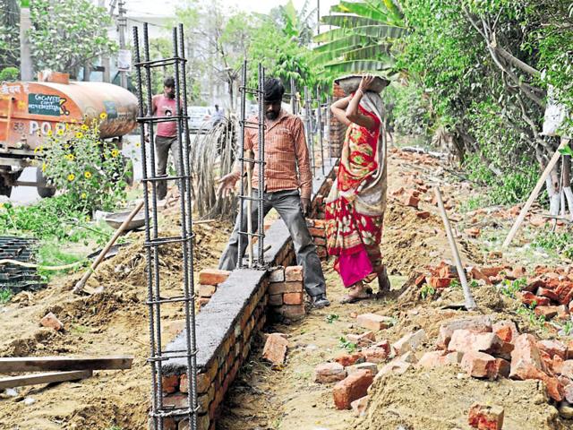 The work on the Sector 17/18 dividing road has been halted as the Haryana Urban Development Authority’s request to cut 250 trees is pending before the forest department. (Parveen Kumar/HT Photo) The work on the Sector 17/18 dividing road has been halted as the Haryana Urban Development Authority’s request to cut 250 trees is pending before the forest department. (Parveen Kumar/HT Photo)