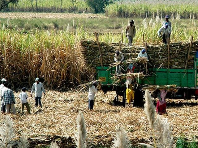Union food minister Ram Vilas Paswan said states have been empowered to take action against hoarding by imposing stock limits on sugar traders. (HT File Photo) Union food minister Ram Vilas Paswan said states have been empowered to take action against hoarding by imposing stock limits on sugar traders. (HT File Photo)