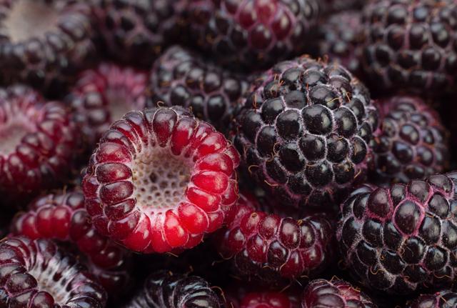 Black raspberry intake was also associated with increased levels of circulating endothelial progenitor cells (EPCs), which help repair and regenerate damaged arteries. (Shutterstock)