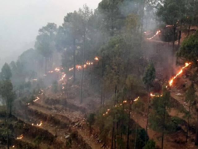 Fire incidents in Uttarakhand have affected forests in districts such as Pauri Garhwal, Nainital, Pithoragarh, Bageshwar and Chamoli. (Arvind Moudgil /HT Photo) Fire incidents in Uttarakhand have affected forests in districts such as Pauri Garhwal, Nainital, Pithoragarh, Bageshwar and Chamoli. (Arvind Moudgil /HT Photo)