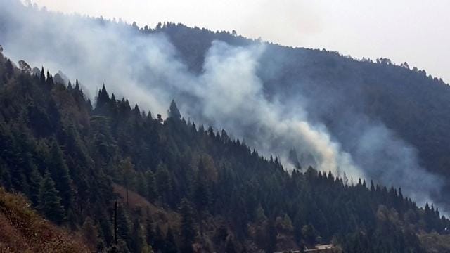 An undated photograph of a fire in a forest in Pauri Garhwal district. (Arvind Moudgil /HT Photo) An undated photograph of a fire in a forest in Pauri Garhwal district. (Arvind Moudgil /HT Photo)