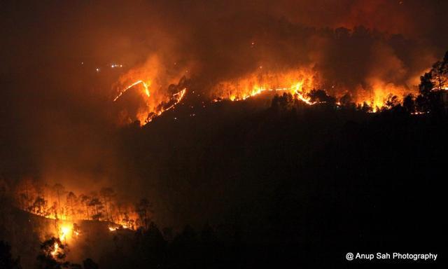 An undated photograph of a fire in a forest in Bageswar district. (Anup Sah) An undated photograph of a fire in a forest in Bageswar district. (Anup Sah)