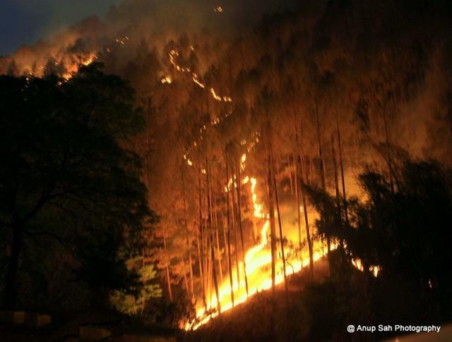 Fire wreaks havoc in Bageswar district in this undated photograph. (Anup Sah) Fire wreaks havoc in Bageswar district in this undated photograph. (Anup Sah)