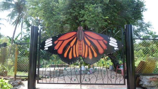 The gates draw attention to native butterfly species. (CENTRE FOR ENVIRONMENTAL RESEARCH AND EDUCATION)