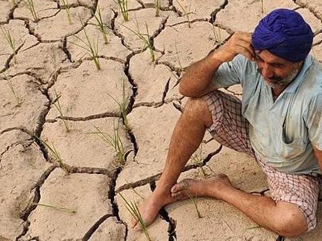 Unable to bear the burden of repaying their crop-related loans and failing to make ends meet, as many as 20 farmers reportedly committed suicide between April 21 and 28 alone. (HT Photo) Unable to bear the burden of repaying their crop-related loans and failing to make ends meet, as many as 20 farmers reportedly committed suicide between April 21 and 28 alone. (HT Photo)
