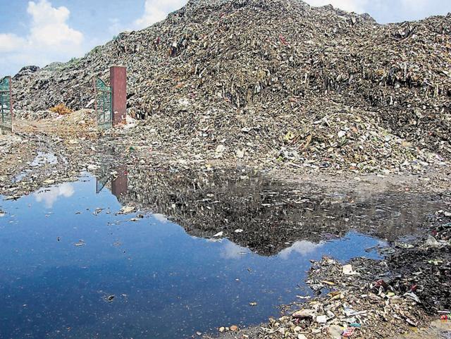 Heaps of garbage at Wariana village near Jalandhar. (HT File) Heaps of garbage at Wariana village near Jalandhar. (HT File)