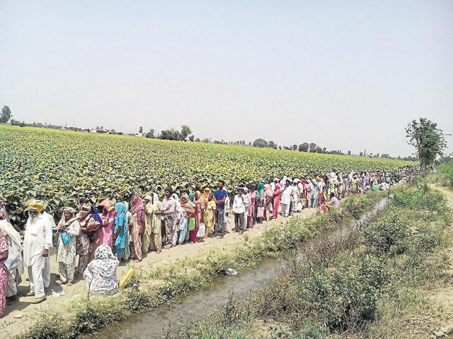 This queue near the ‘magical’ handpump on the link road of Saunti and Anniya villages in Fatehgarh Sahib district stretches to more than 2 kilometres. (HT Photo) This queue near the ‘magical’ handpump on the link road of Saunti and Anniya villages in Fatehgarh Sahib district stretches to more than 2 kilometres. (HT Photo)