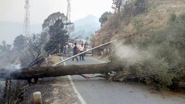 NH-121 in Pauri district is blocked since Sunday morning after two half burnt logs fell on the road. (HT Photo) NH-121 in Pauri district is blocked since Sunday morning after two half burnt logs fell on the road. (HT Photo)