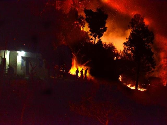 Forest fires have spread to protected wildlife areas too. (Arvind Moudgil/HT Photo) Forest fires have spread to protected wildlife areas too. (Arvind Moudgil/HT Photo)