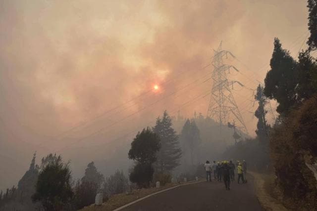 In Pics: Uttarakhand Forest Fire Continues, 2270 Hectares Affected ...