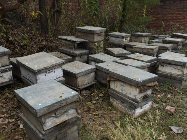Badal village has formed a co-operative society of bee keepers that has about 500 members to date and is making a turnover of about Rs 1.25 crore.(HT File) Badal village has formed a co-operative society of bee keepers that has about 500 members to date and is making a turnover of about Rs 1.25 crore.(HT File)