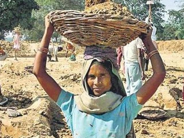 The minimum wages for an agricultural worker have ben fixed at Rs 277.13 per day without meals and Rs 251.93 per day with meals. (HT Photo) The minimum wages for an agricultural worker have ben fixed at Rs 277.13 per day without meals and Rs 251.93 per day with meals. (HT Photo)