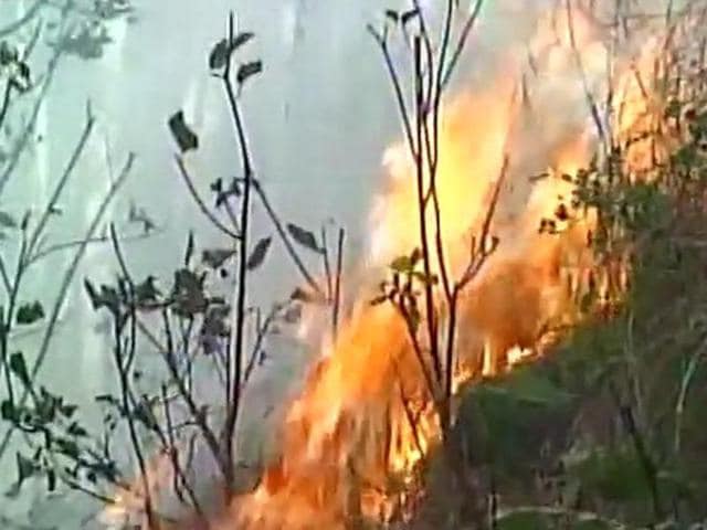 Fire broke out in some areas of Rajouri forest division in J&K on Sunday. (ANI Photo) Fire broke out in some areas of Rajouri forest division in J&K on Sunday. (ANI Photo)