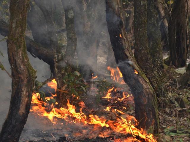 Fire rages in a forest near Uttarakhand’s Pauri.(Arvind Moudgil/HT Photo)