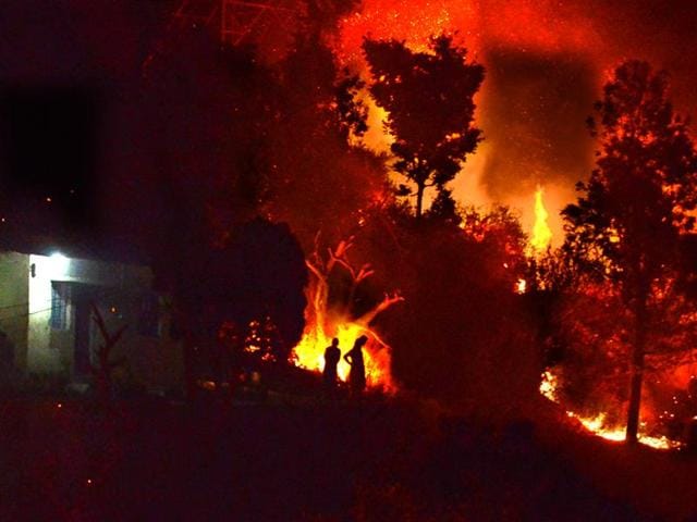 Normally, the forest fires are most severe in May. Now that the heat is really on, the strategy should be to minimise the losses. (Arun Sharma/Hindustan Times) Normally, the forest fires are most severe in May. Now that the heat is really on, the strategy should be to minimise the losses. (Arun Sharma/Hindustan Times)