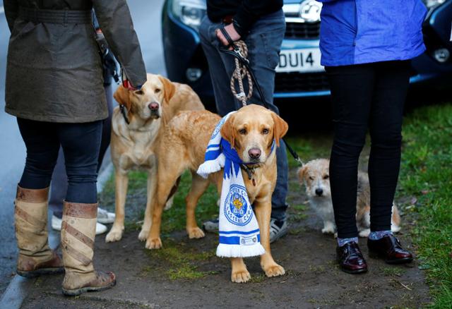 Leicester City fans with their dogs outside Jamie Vardy's home. (Reuters) Leicester City fans with their dogs outside Jamie Vardy's home. (Reuters)
