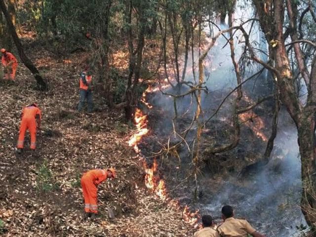 NDRF personnel try to douse the fire that has engulfed forests in Uttarakhand.(PTI Photo) NDRF personnel try to douse the fire that has engulfed forests in Uttarakhand.(PTI Photo)