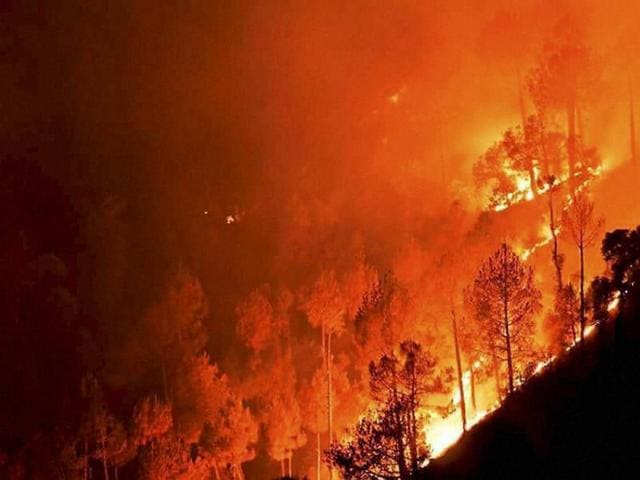 A major fire in the forests at Ahirikot in Srinagar, Uttarakhand on Monday.(PTI Photo) A major fire in the forests at Ahirikot in Srinagar, Uttarakhand on Monday.(PTI Photo)