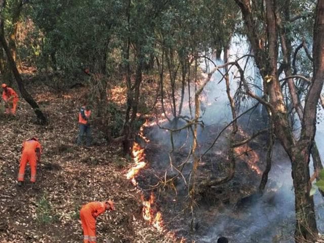 Forest men extinguishing the fire in the forests at Kotdwar, Uttarakhand on Monday. (PTI) Forest men extinguishing the fire in the forests at Kotdwar, Uttarakhand on Monday. (PTI)