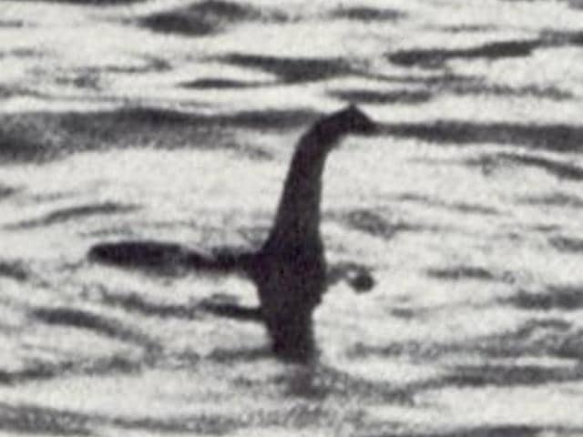 The odds of Nessie being found were rated higher than Leicester winning. How about those of the Yeti being found, anyone? (File photo) The odds of Nessie being found were rated higher than Leicester winning. How about those of the Yeti being found, anyone? (File photo)