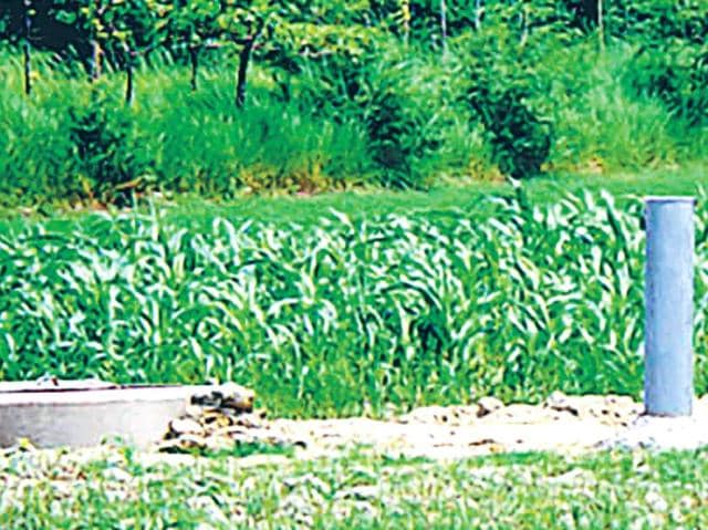 The first-ever action plan to address the impact of global warming on agriculture in Bihar has suggested making one village in each district climate smart.(File Photo) The first-ever action plan to address the impact of global warming on agriculture in Bihar has suggested making one village in each district climate smart.(File Photo)