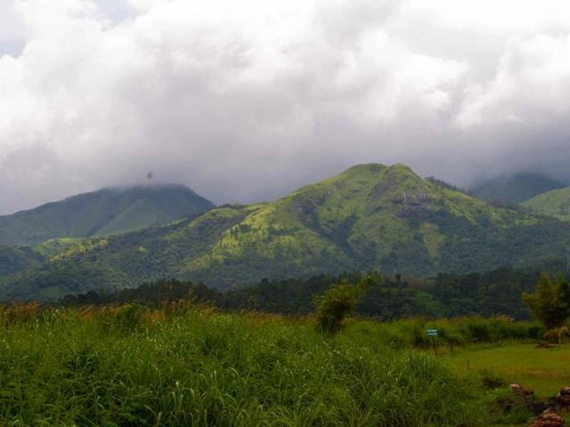 Political parties in Kerala are reluctant to implement the suggestions of two expert committees on protecting the fragile ecology of the Western Ghats. (Picture courtesy: Shutterstock) Political parties in Kerala are reluctant to implement the suggestions of two expert committees on protecting the fragile ecology of the Western Ghats. (Picture courtesy: Shutterstock)