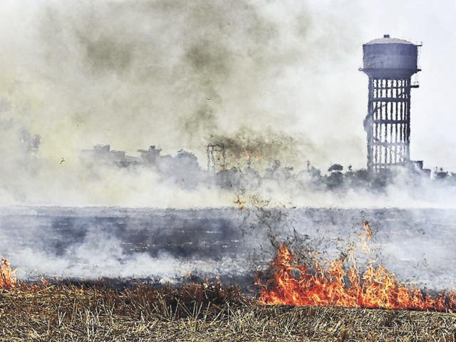 Tarn Taran deputy commissioner Balwinder Singh Dhaliwal said strict action will be taken against farmers burning the stubble.(Gurpreet Singh/HT Photo)