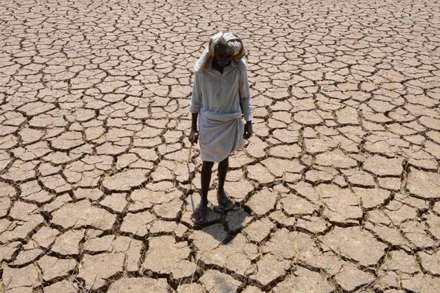 A farmer on dried up cotton field in Telangana. (AFP) A farmer on dried up cotton field in Telangana. (AFP)