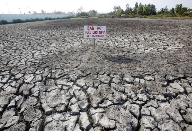 A sign which reads "Land for sale or for lease" is seen placed on a drought-affected rice field in Bac Lieu province, in the Mekong Delta, Vietnam. (Reuters file photo)