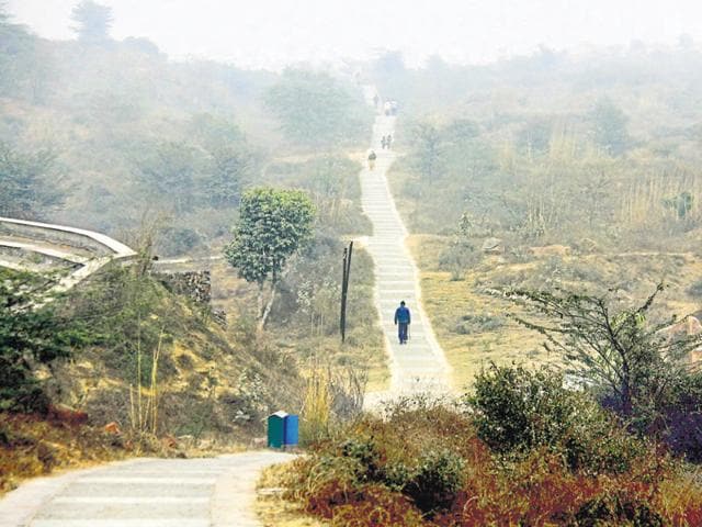 The move is an attempt by the MCG to deter miscreants from entering the biodiversity park.(HT File) The move is an attempt by the MCG to deter miscreants from entering the biodiversity park.(HT File)