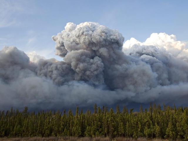 Smoke rises above trees as a wildfire burns in Fort McMurray. (AP)