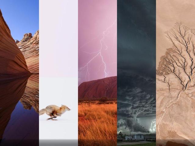 These pictures, whose captions were written by the photographers, capture raw beauty in places across the globe. Fancy putting your own photography skills to the test? Send in your entries by 27 May 2016 to be in with a chance of winning a seven-day polar bear photo safari for two at Churchill Wild - Seal River Heritage Lodge, a National Geographic Unique Lodge of the World. (National Geographic)